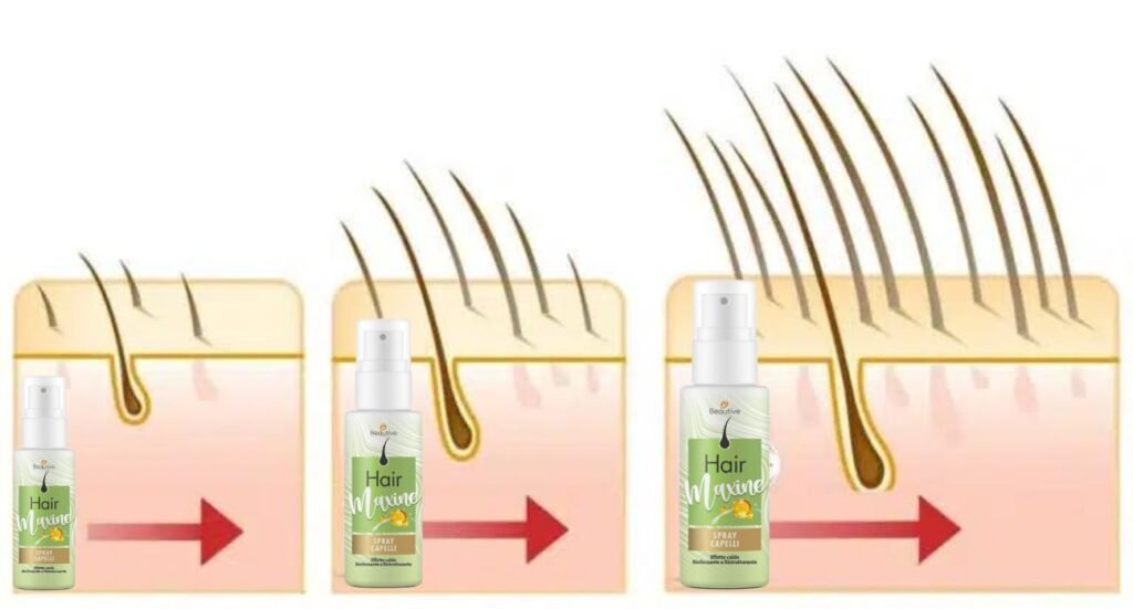 fasi caduta capelli