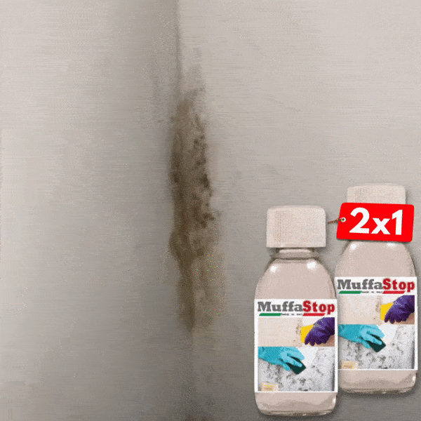 ezgif.com-optimize (8)